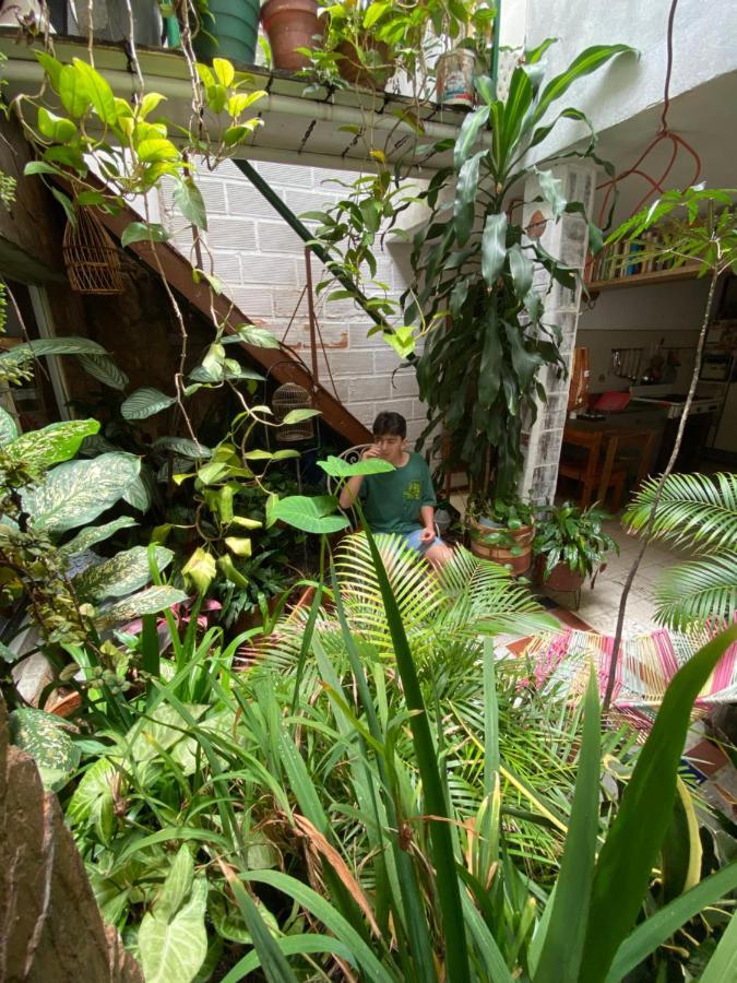 Hostal Casa Las Tias Medellin Exterior photo