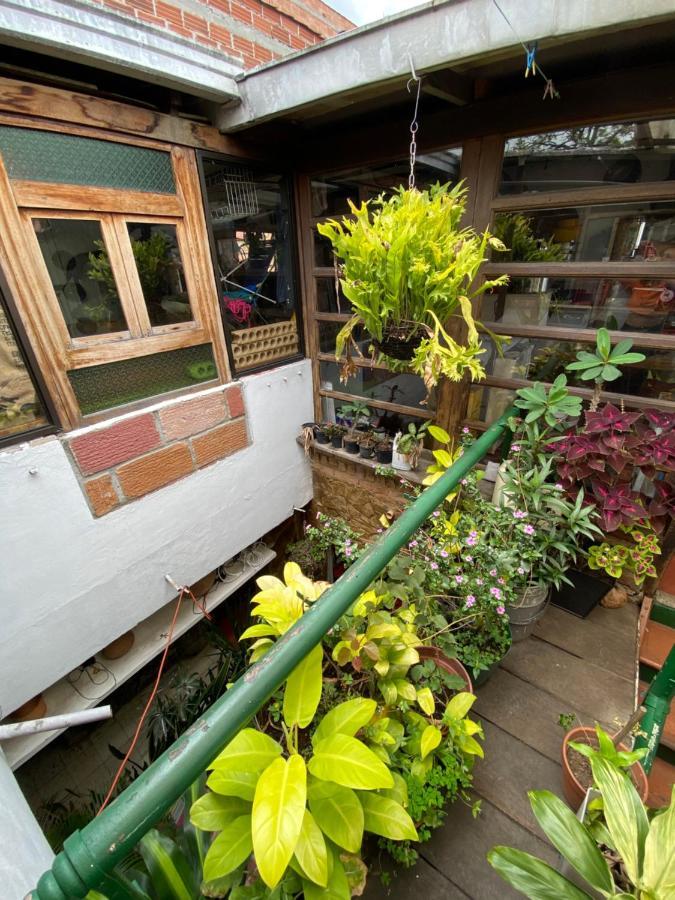 Hostal Casa Las Tias Medellin Exterior photo